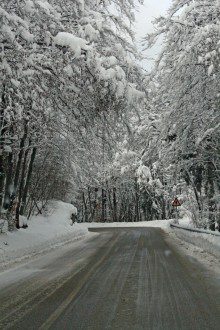 If you know that you’ll be driving on snowy roads this winter season, here are some essential winter driving safety tips that you and your family should know.